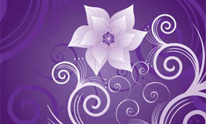Flower on Violet